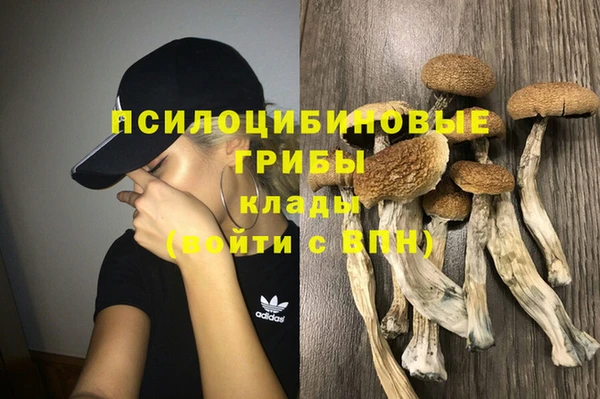 марки nbome Карталы