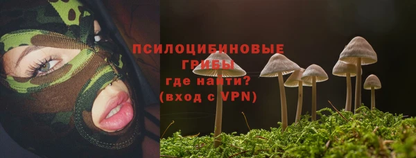 дмт Киреевск