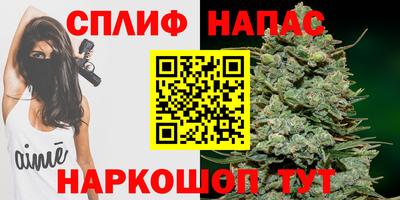 ПСИЛОЦИБИНОВЫЕ ГРИБЫ Камышлов