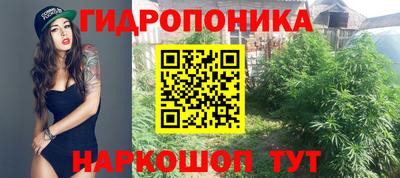 ПСИЛОЦИБИНОВЫЕ ГРИБЫ Камышлов