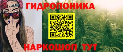 ПСИЛОЦИБИНОВЫЕ ГРИБЫ Камышлов