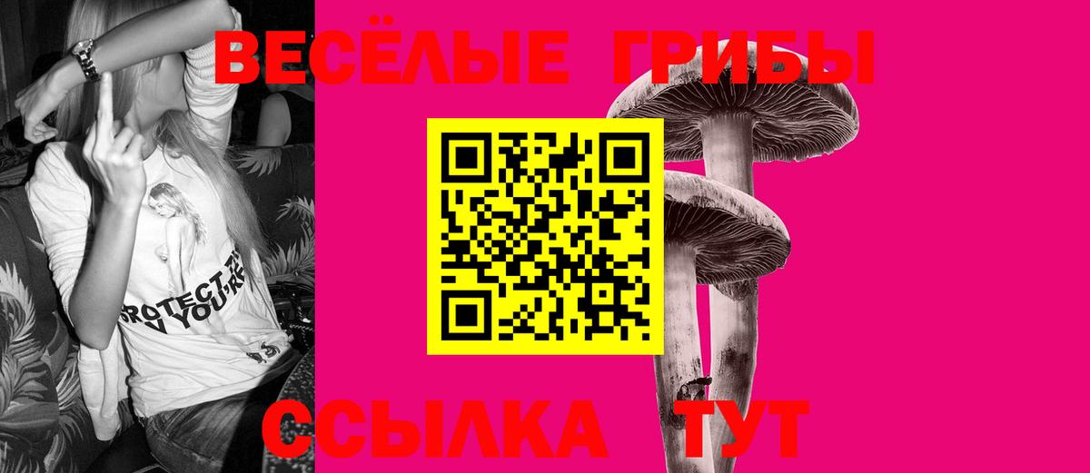 Ирбит  Псилоцибиновые грибы MAGIC MUSHROOMS  Псилоцибиновые грибы Magic Shrooms  как найти   Вход с VPN 